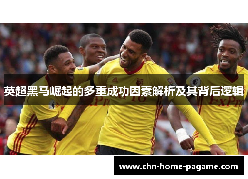 英超黑马崛起的多重成功因素解析及其背后逻辑 英超黑马崛起的多重成功因素解析及其背后逻辑