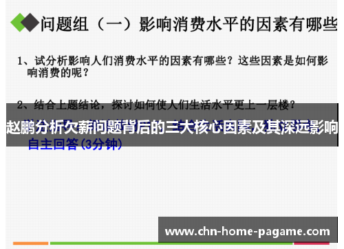 赵鹏分析欠薪问题背后的三大核心因素及其深远影响