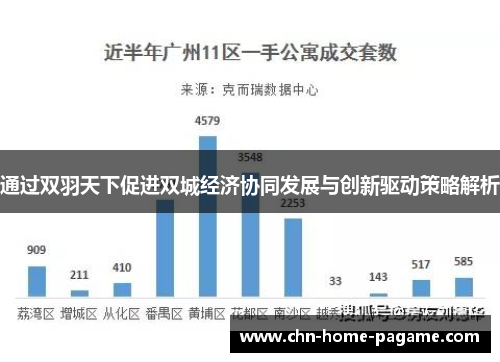 通过双羽天下促进双城经济协同发展与创新驱动策略解析