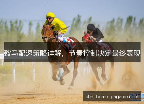 鞍马配速策略详解，节奏控制决定最终表现